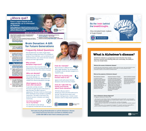 Materials About Brain Health